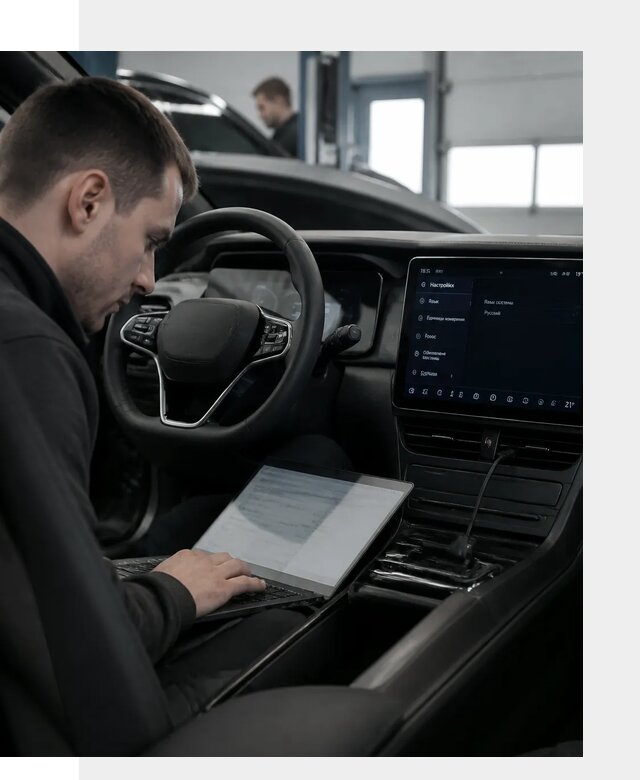 Русификация автомобилей BYD под ключ для всех моделей в Тихвине