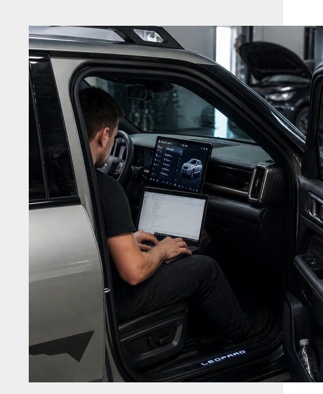 Русификация BYD Leopard 3 в Тихвине по цене от 21747 р. | ФастМобиль-Тхв